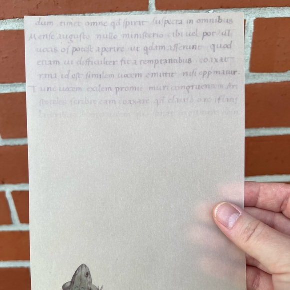 The Vatican Library Collection FROG Vintage Stationery Fine Writing Vellum Paper - Picture 2 of 11